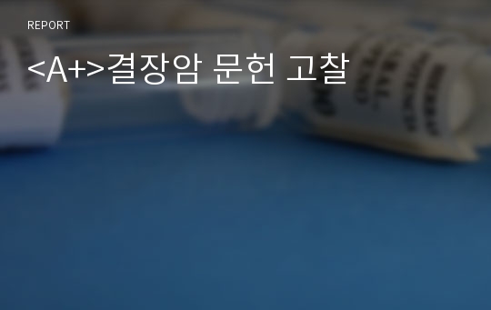 &lt;A+&gt;결장암 문헌 고찰