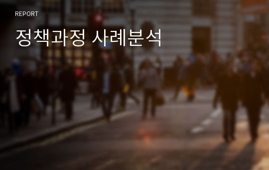 정책과정 사례분석