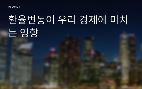 환율변동이 우리 경제에 미치는 영향