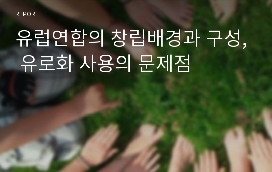 유럽연합의 창립배경과 구성, 유로화 사용의 문제점