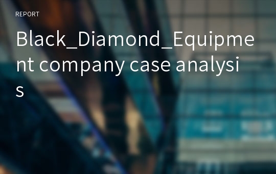 Black_Diamond_Equipment company case analysis