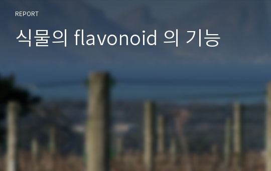 식물의 flavonoid 의 기능