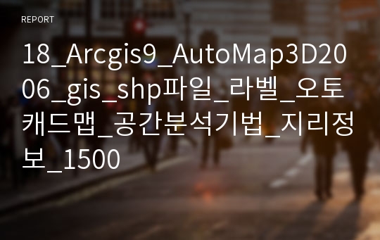 18_Arcgis9_AutoMap3D2006_gis_shp파일_라벨_오토캐드맵_공간분석기법_지리정보_1500