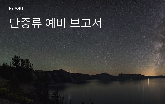 단증류 예비 보고서