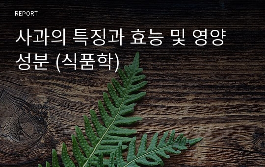 사과의 특징과 효능 및 영양성분 (식품학)