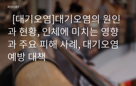   [대기오염]대기오염의 원인과 현황, 인체에 미치는 영향과 주요 피해 사례, 대기오염 예방 대책