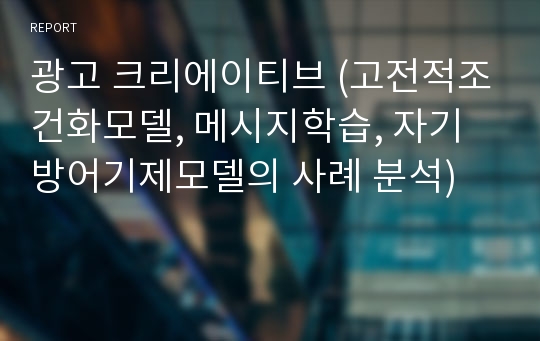 광고 크리에이티브 (고전적조건화모델, 메시지학습, 자기방어기제모델의 사례 분석)