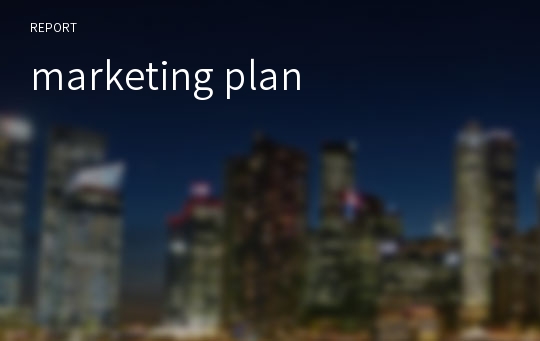 marketing plan