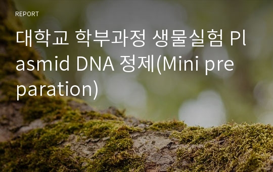 대학교 학부과정 생물실험 Plasmid DNA 정제(Mini preparation)