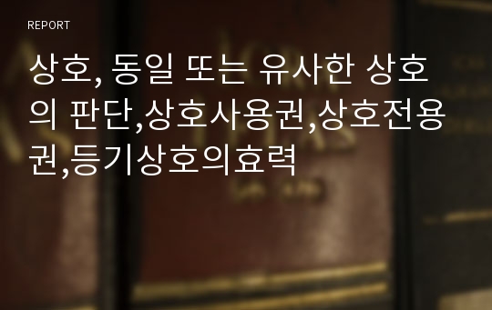 상호, 동일 또는 유사한 상호의 판단,상호사용권,상호전용권,등기상호의효력