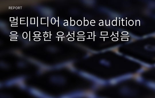 멀티미디어 abobe audition을 이용한 유성음과 무성음