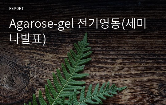 Agarose-gel 전기영동(세미나발표)