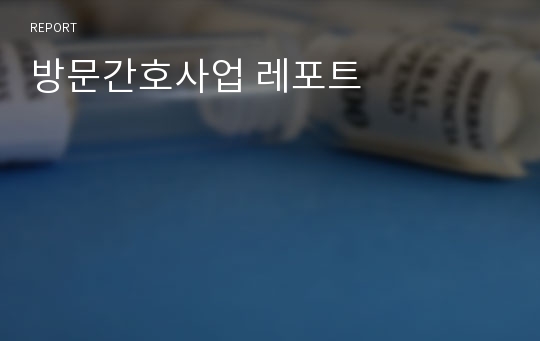 방문간호사업 레포트