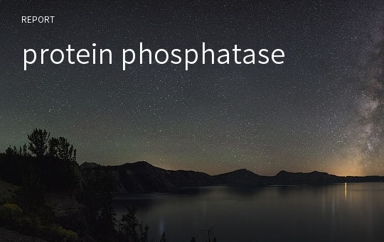 protein phosphatase