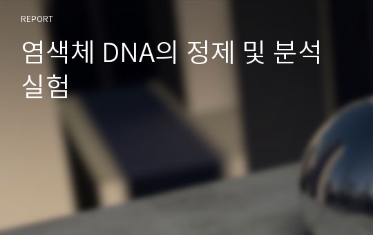 염색체 DNA의 정제 및 분석 실험