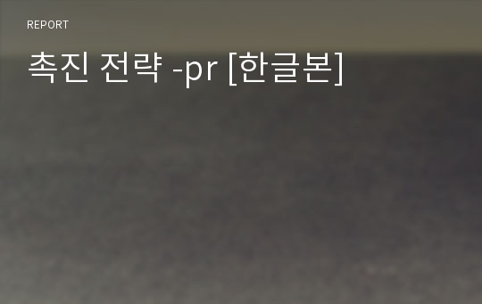 촉진 전략 -pr [한글본]