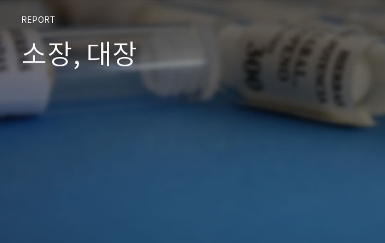 소장, 대장