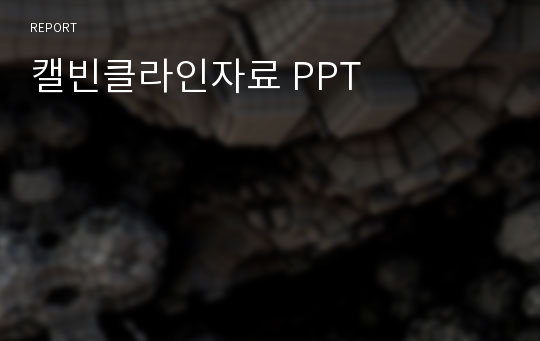 캘빈클라인자료 PPT