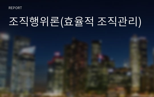 조직행위론(효율적 조직관리)