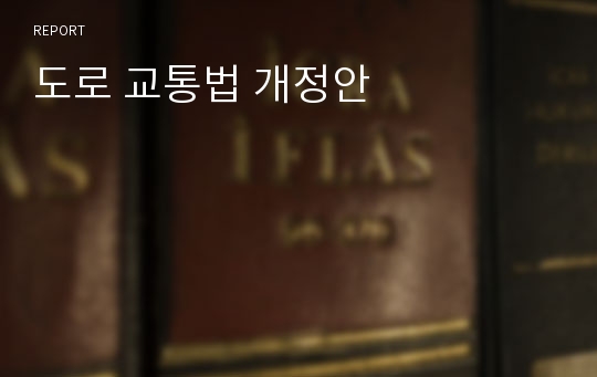 도로 교통법 개정안