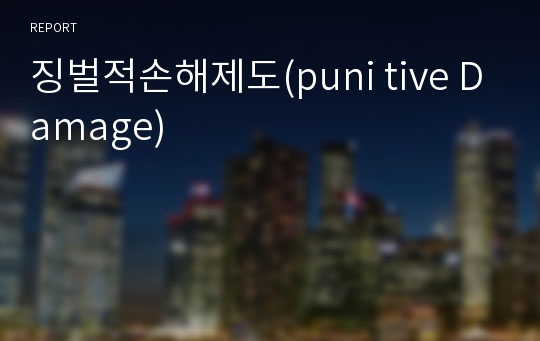 징벌적손해제도(puni tive Damage)