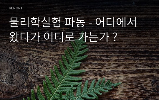 물리학실험 파동 - 어디에서 왔다가 어디로 가는가 ?