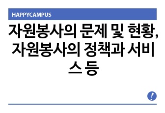 자원봉사의 문제 및 현황, 자원봉사의 정책과 서비스 등