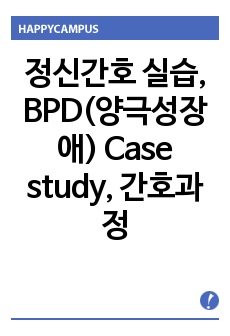 정신간호 실습, BPD(양극성장애) Case study, 간호과정