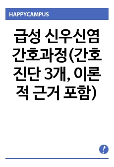 급성 신우신염 간호과정(간호진단 3개, 이론적 근거 포함)