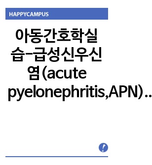 아동간호학실습-급성신우신염(acute pyelonephritis,APN) 간호과정