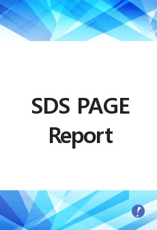 SDS PAGE