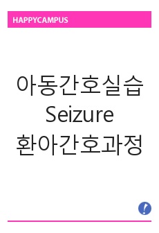 아동간호실습 Seizure환아간호 간호과정3 / 간호진단3