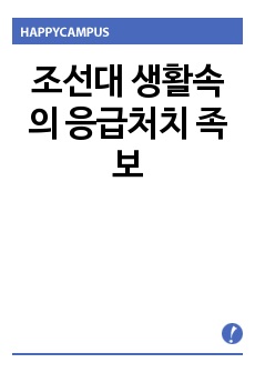 조선대 생활속의 응급처치 족보