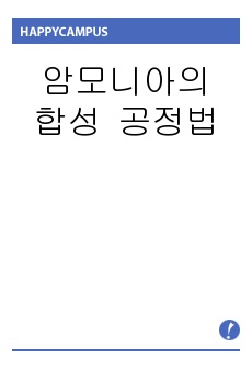 암모니아의 합성 공정법