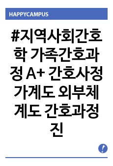 #지역사회간호학 가족간호과정 A+ 간호사정 가계도 외부체계도 간호과정 진단2개 간호과정1개