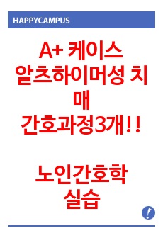 (노인간호실습) A+ 알츠하이머성 치매 케이스