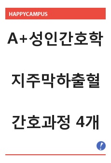 A+ 성인간호학: 지주막하출혈 (간호과정 4개)