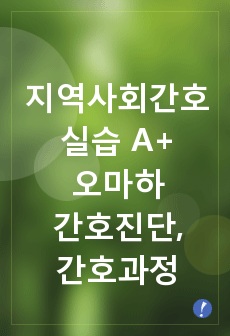 지역사회간호학 실습 A+ 부산 오마하 간호진단, 간호과정