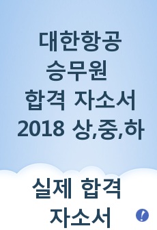 대한항공 합격 자소서 (2018 상,중,하)