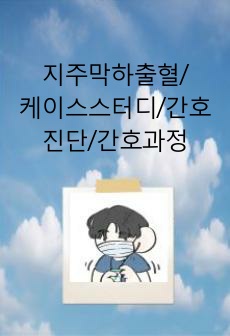 지주막하출혈/케이스스터디/간호진단/간호과정