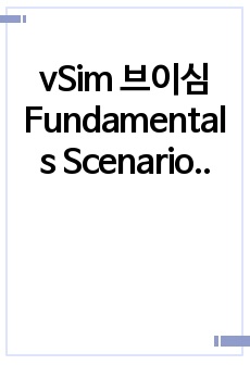 vSim 브이심 Fundamentals Scenarios - Josephine Morrow 5단계(Documentation Assignments) 6단계(Guided Reflection Questions)