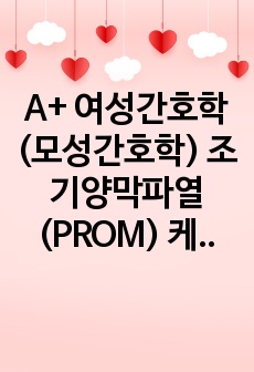 A+ 여성간호학(모성간호학) 조기양막파열(PROM) 케이스 스터디