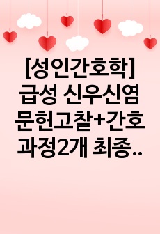 [성인간호학] 급성 신우신염 문헌고찰+간호과정2개 최종본