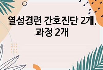 열성경련 간호진단 2개, 과정 2개