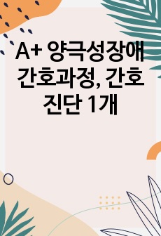 A+ 양극성장애 간호과정, 간호진단 1개