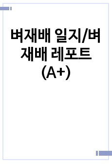 벼재배 일지/벼재배 레포트 (A+)