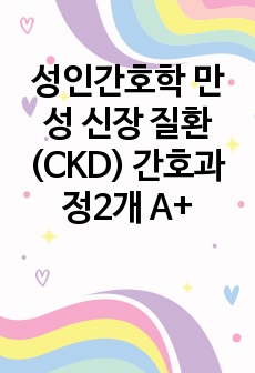 성인간호학 만성 신장 질환(CKD) 간호과정2개 A+