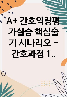 A+ 간호역량평가실습 핵심술기 시나리오 - 간호과정 1개(이론적근거 포함), 핵심술기6개 적용