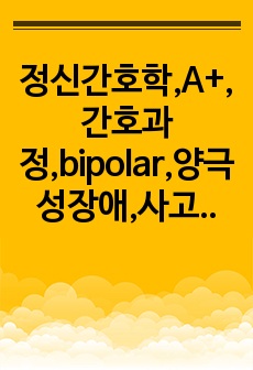 정신간호학,A+,간호과정,bipolar,양극성장애,사고과정장애,언어적의사소통장애,간호진단,2개