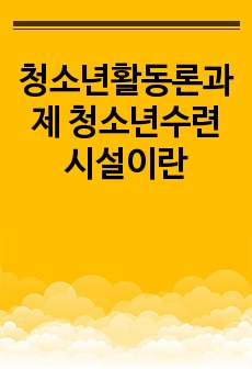 청소년활동론과제 청소년수련시설이란